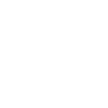 LOGO_ALG